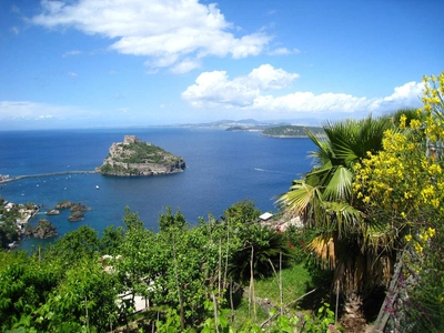 Wanderung auf Ischia - Norbert Getto