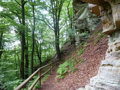 Wanderung bei Berdorf - Stefan Dana