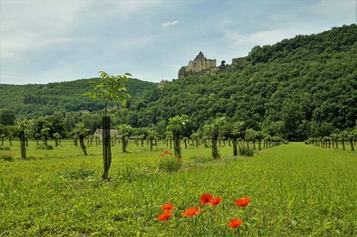 Wanderung bei Castelnaud - Carmen Rameil