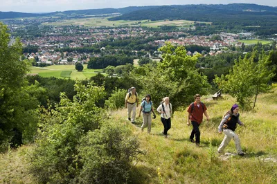 Wanderung bei Neumarkt i.d.OPf. - Andreas Hub