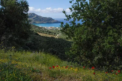 Wanderung bei Plakias - Gerd Thiel