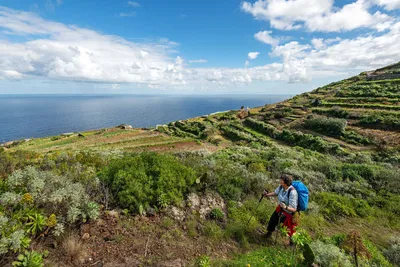 Wanderung bei Puntallana - Julia Knop - © Julia Knop