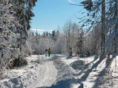 Wanderung durch Schneewälder - Oliver Herrmann