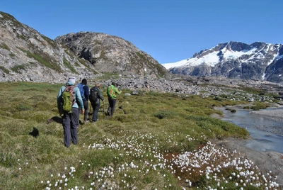 Wanderung durchs Wollgras - Melanie Nöllen