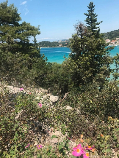 Wanderung im Waldgebiet Dundo - Diana Ruttar