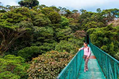 Wanderung im Nebelwald Monteverde - Simon Dannhauer / Adobe.com - © Simon Dannhauer / Adobe.com