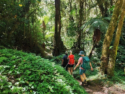 Wanderung im Savegre-Tal - Dennis Gowitzke