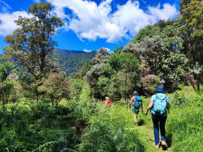 Wanderung im Savegre-Tal - Dennis Gowitzke