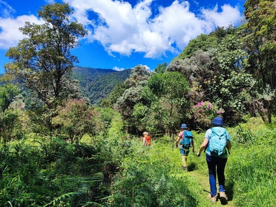 Wanderung im Savegre-Tal - Dennis Gowitzke
