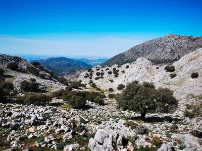 Wanderung in der Sierra de Grazalema - Peter Bartel