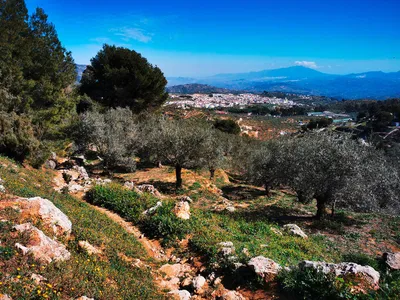 Wanderung in der Sierra de las Nieves - Peter Bartel