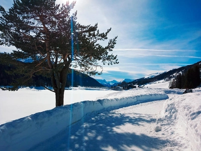 Wanderung nach Davos - Sabine Peter