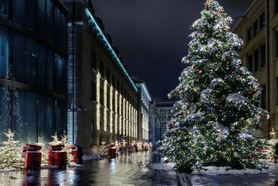 Weihnachtsbaum in Zürich - ZürichTourismus/BrunoMac