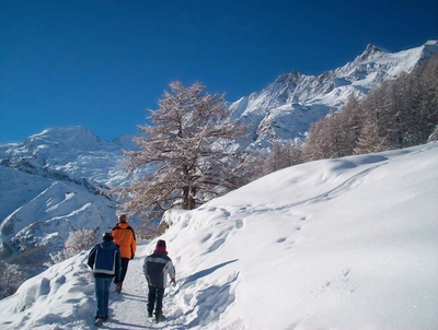 Winterwanderweg im Saastal. - PHOTOPRESS/Saas-Fee - ©PHOTOPRESS/Saas-Fee