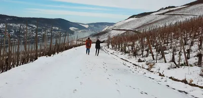 Winterwandern an der Mosel - Ferienland Bernkastel-Kues - ©Ferienland Bernkastel-Kues