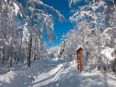 Winterlandschaft - Oliver Herrmann