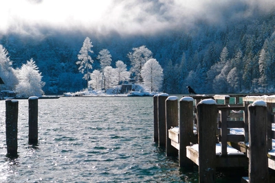 Winterlandschaft am See - Elke Böhm