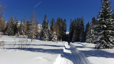 Winterlandschaft im Trentino - Ralph Krüger