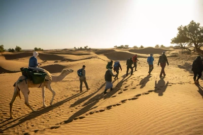 Wüstentrekking - Dominik Ketz