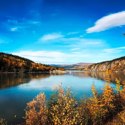 Yukon River im herbstlichen Dawson - Sascha Thom