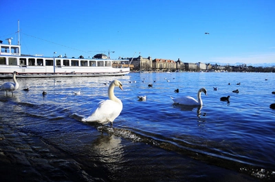 Zürichsee - ZürichTourism/RubianoSot