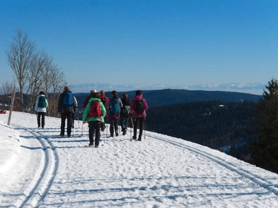 Abstieg vom Feldberg - Oliver Herrmann