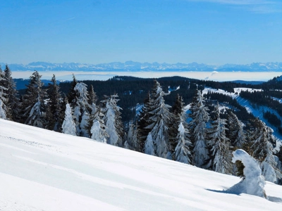 Alpenblick vom Feldberg - Oliver Herrmann