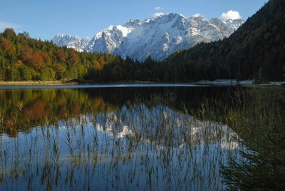 Am Ferchensee, dahinter Karwendel - Gerd Thiel