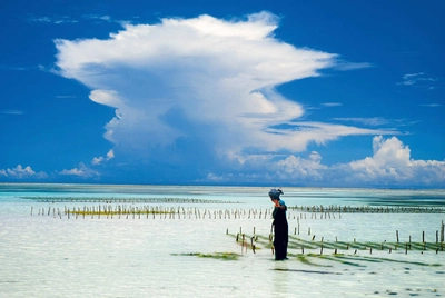 Am Strand von Sansibar - Torsten Bergt