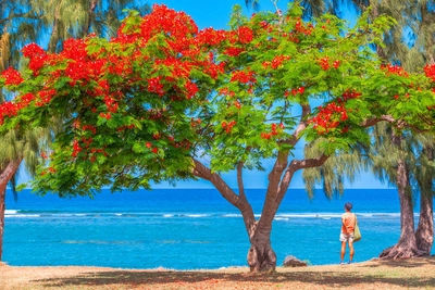 Am Strand von St. Leu - Unclesam - © Unclesam / Adobe.com