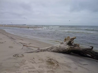 Am Strand von Usedom - Martin Twietmeyer