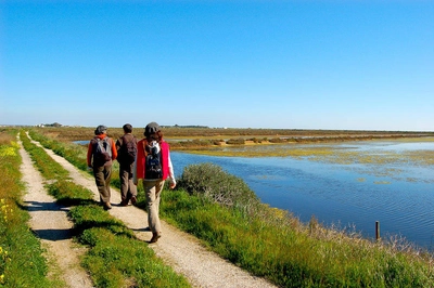 An der Lagunenalgarve - Sebastiao Pernes