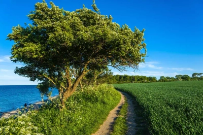 An der Steilküste Staberhuk - Jürgen Wackenhut - © Jürgen Wackenhut/ adobe.com