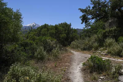 Auf dem Wanderweg von Eleftherna 2 - Gerd Thiel