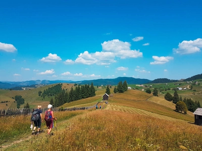 Auf dem Weg zum Urwald Slatioara - Paul Hemmerth