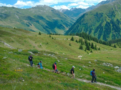 Auf dem Weg zur Madrisa Alp - Behzad Marvie