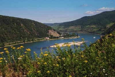 Auf dem Rheinsteig bei Lorch - Gerd Thiel