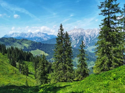 Auf dem Saalachtaler Höhenweg - Ian Gullick