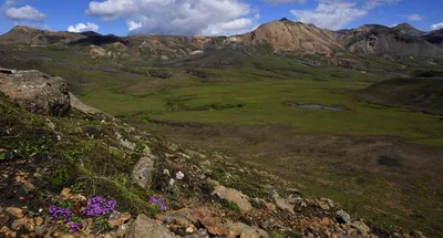 auf dem Trekkingweg Laugarvegur - Darek Wylezol