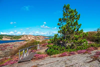 Auf der Insel Dyrön - Rico Ködder - © Rico Ködder / adobe.com