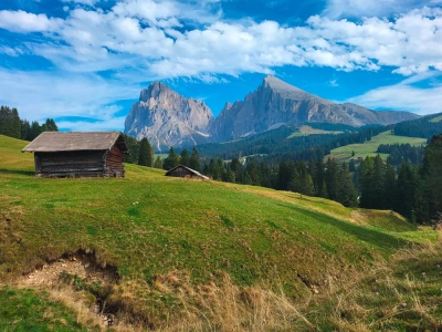 Auf der Seiser Alm - Mareike Potrikus