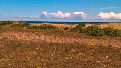 Auf Saaremaa - Rattareisid