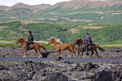 Ausritt am Myvatn - Reinhard Pantke - © Reinhard Pantke