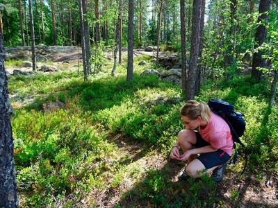 Beeren pflücken beim Wandern - Sandra Schönig