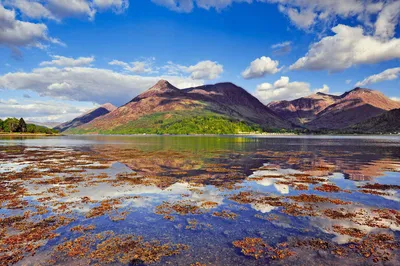 bei Fort William - Darek Wylezol