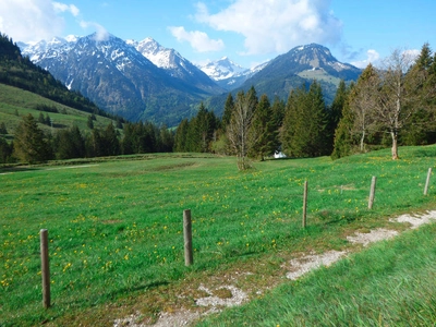 Bergwelt um Bad Hindelang - Andreas Happe