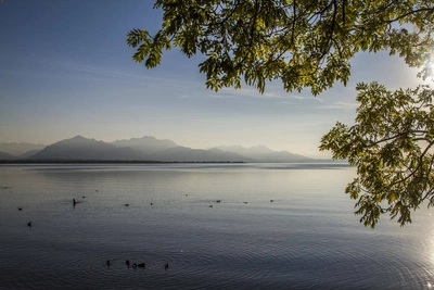 Bergpanorama am Chiemsee - - Chiemsee-Alpenland Tourismus