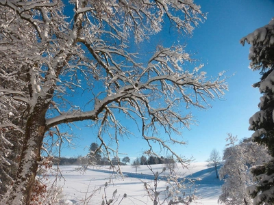 blauer Himmel und weißer Schnee - Oliver Herrmann