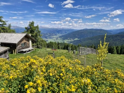 Blick von der Branntweineralm - Nicolas Eickmann
