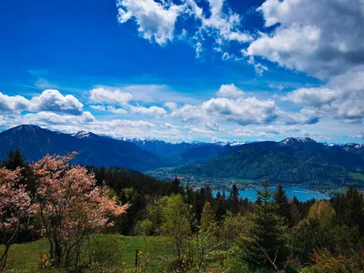 Blick von der Neureuth - Peter Bartel